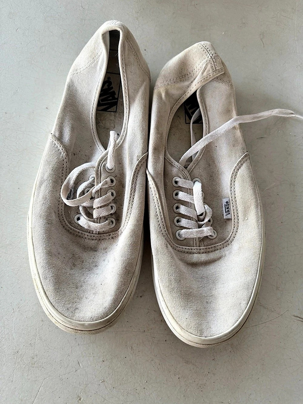 Vans Authentic Sneakers White